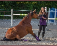 2-13JUIN 0691